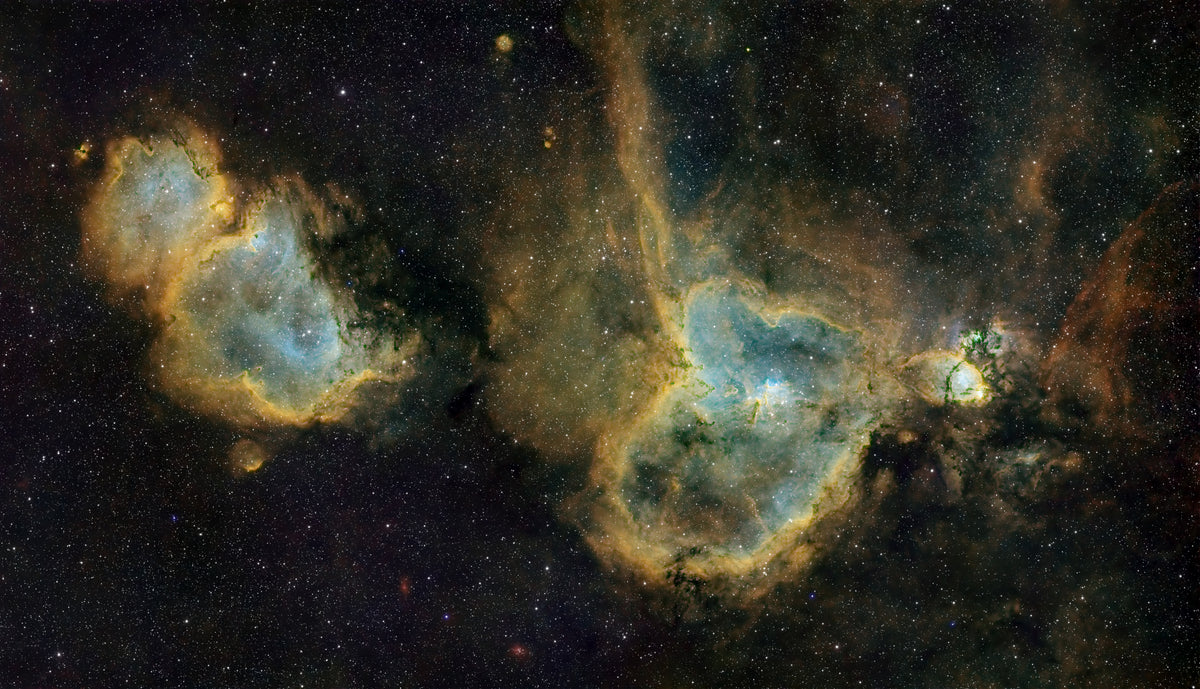 MiniCat - Heart - Pierre