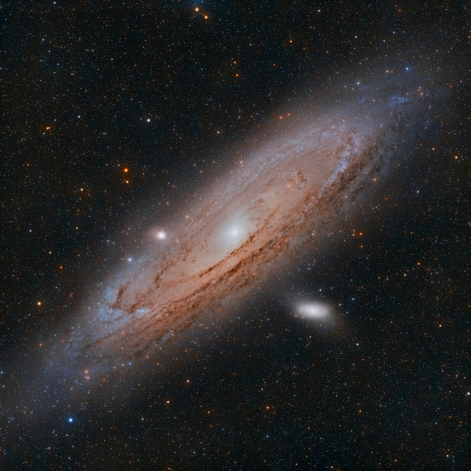 ZWO ASI 533MC Pro | William Optics