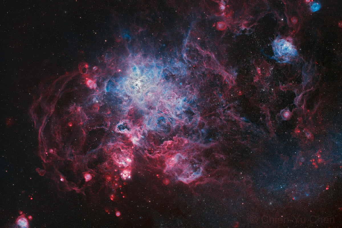 FLT91 - Tarantula - Chien-Yu Chen