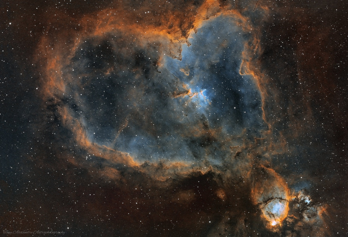 FLT91 - IC1805 - Taman