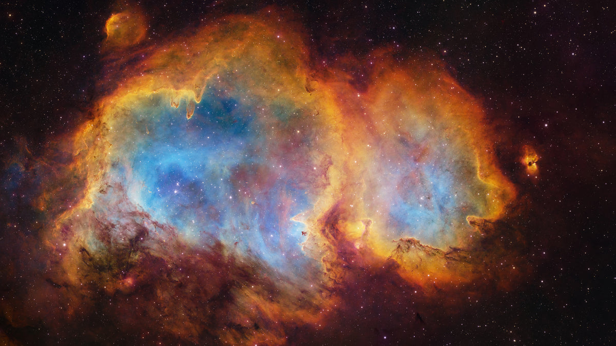 UC91 - Soul - Peter Zelinka