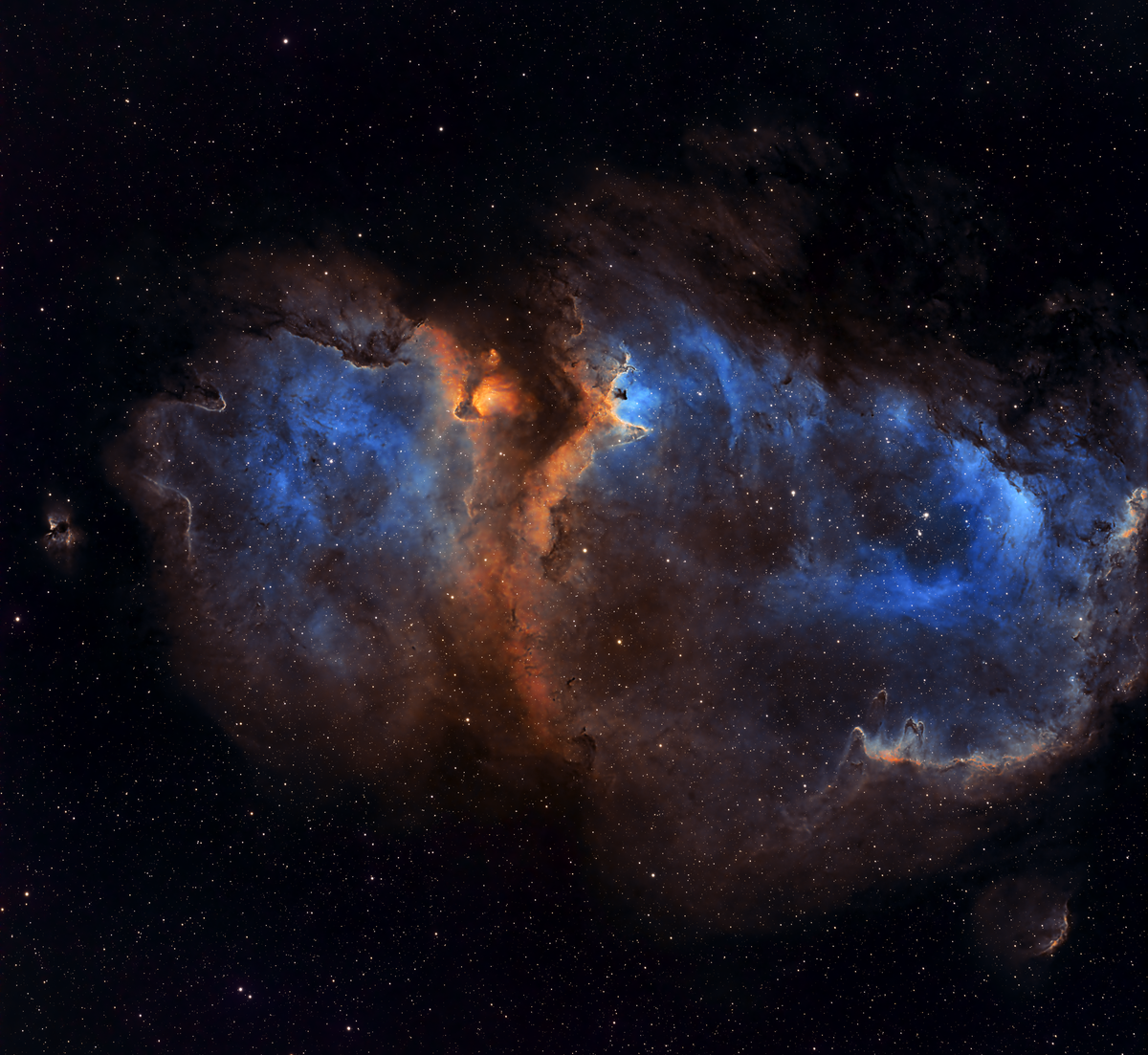 Z81 - IC1848 - Travis Cunningham